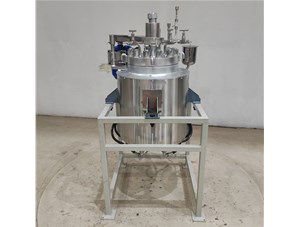 29L高溫高壓不銹鋼油浴電加熱電動升降反應釜已完工發(fā)往安慶